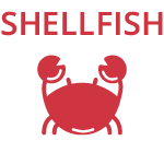shellfish-allergy