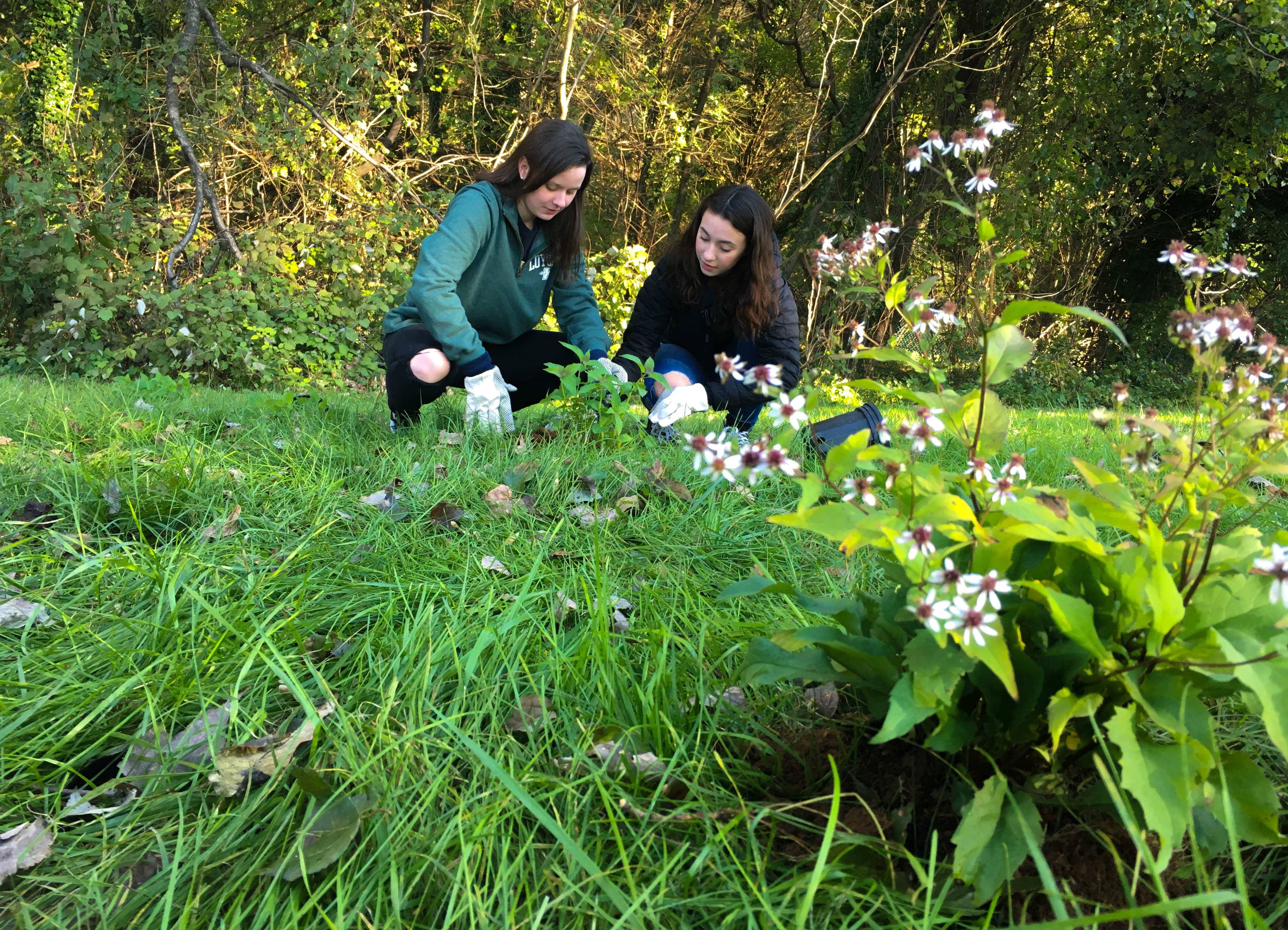 students planting conservation garden