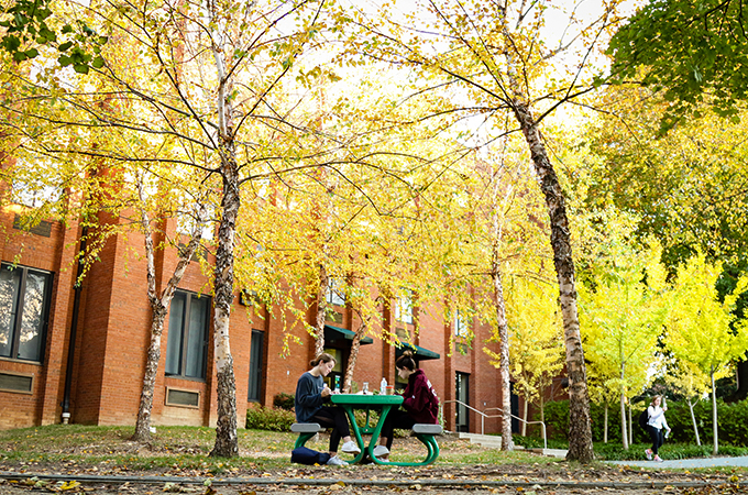 Two students do homework under the changing leaves outside their residence hall.