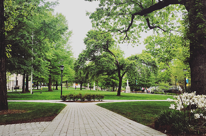 The pathway from the Humanities building opens up to a quad lush with greenery.