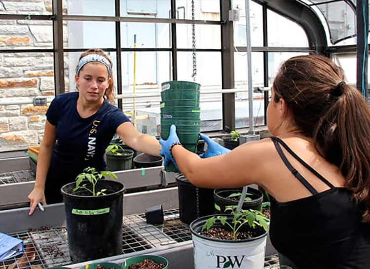 Students working with potted plants in the greenhouse