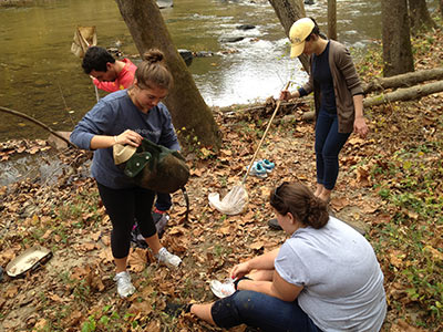 Students handling nets on a creek bank