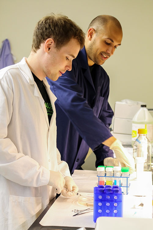 Hauber research student working with instructor in the lab