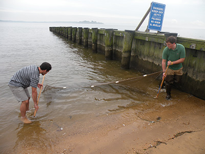 Two students handling a large net by a pier in the bay