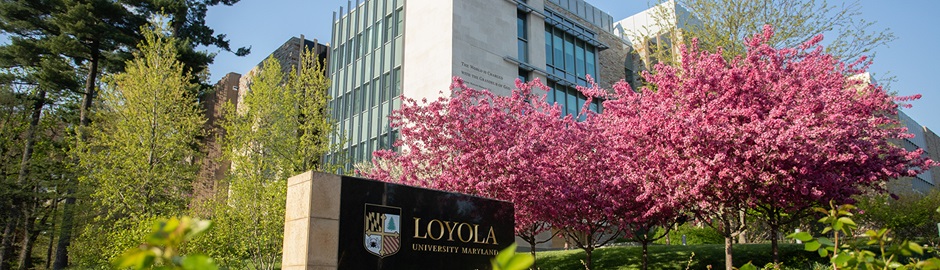 Loyola's Donnelly Science Center building, with cherry blossoms and Loyola's sign in the foreground