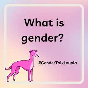 Pink cartoon greyhound with text: What is gender? #GenderTalkLoyola