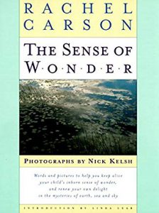 The Sense of Wonder book cover