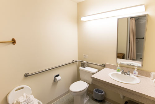 View of accessibility bathroom