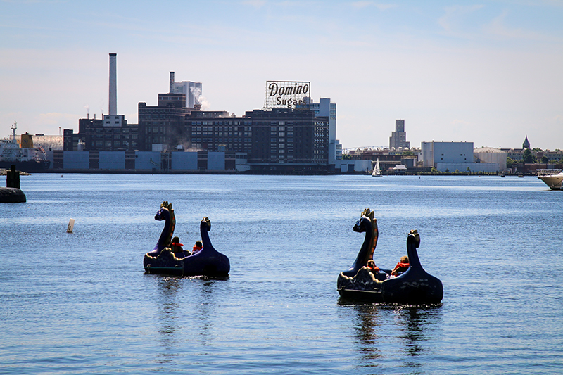 People paddling in the dragon boats at the Inner Harbor in Baltimore