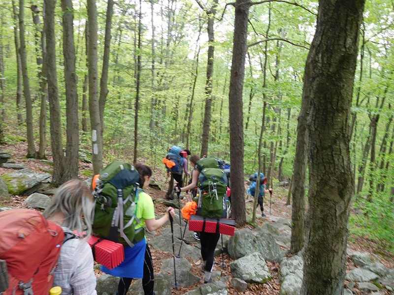 A group of students backpacking down a trail in the woods
