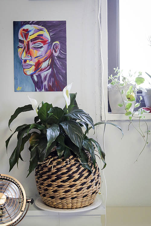 A green plant sits by a window beneath a painting of a face on the wall