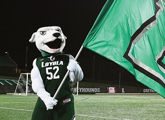 The Loyola Greyhound mascot waves a flag during a night game