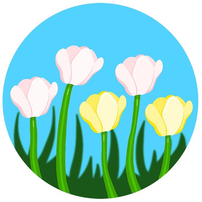 Illustration of tulips