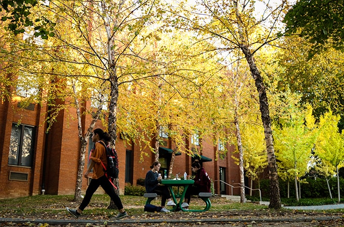 Students seated under the trees on a Fall day by the residence halls in the Hillside area of Loyola's campus
