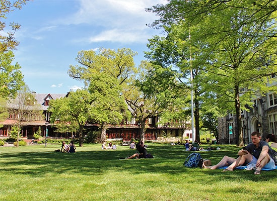 Many students sitting on the grass of the quad on a bright, sunny day