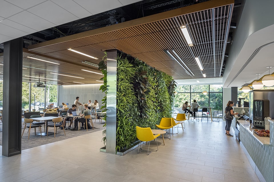 A cafe placed directly across from a wall covered in greenery in the Fernandez Center