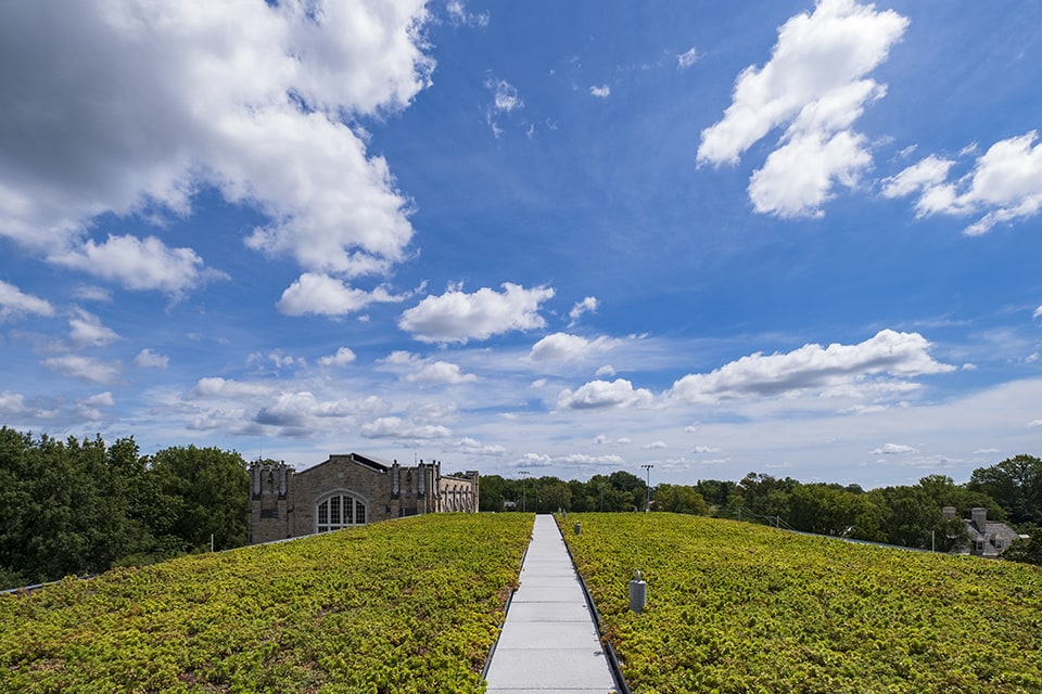 View from the top of the green roof of the Fernandez Center with a blue sky in the background