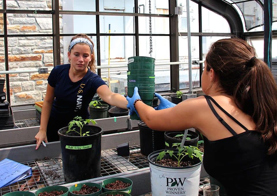 A student handing another student a stack of pots in the greenhouse