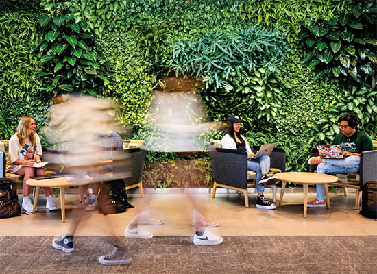 Several students sitting at tables in front of the living green wall inside the Fernandez Center