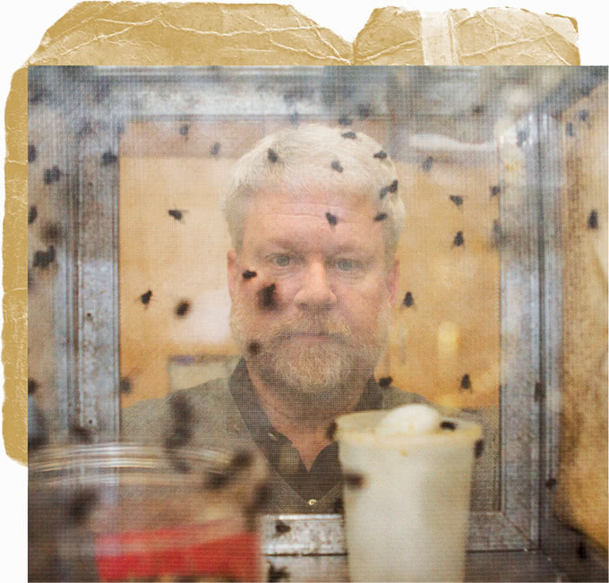 Collage photo of David Rivers with flies in the foreground
