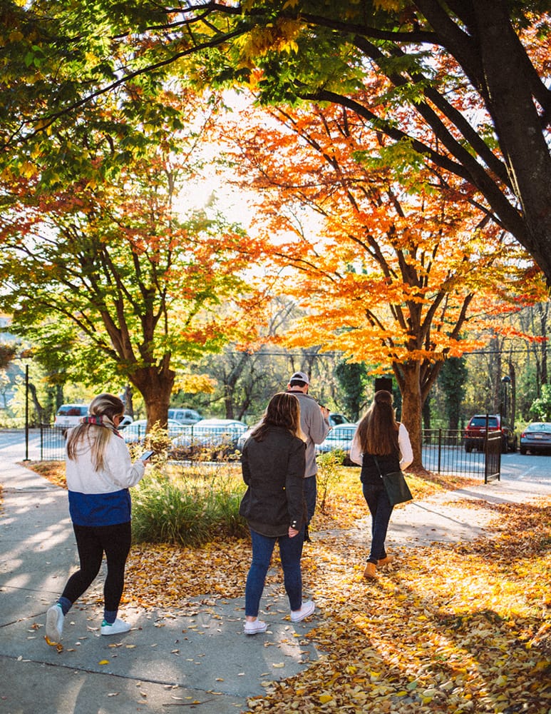 Students walking on a path with fall foliage all around