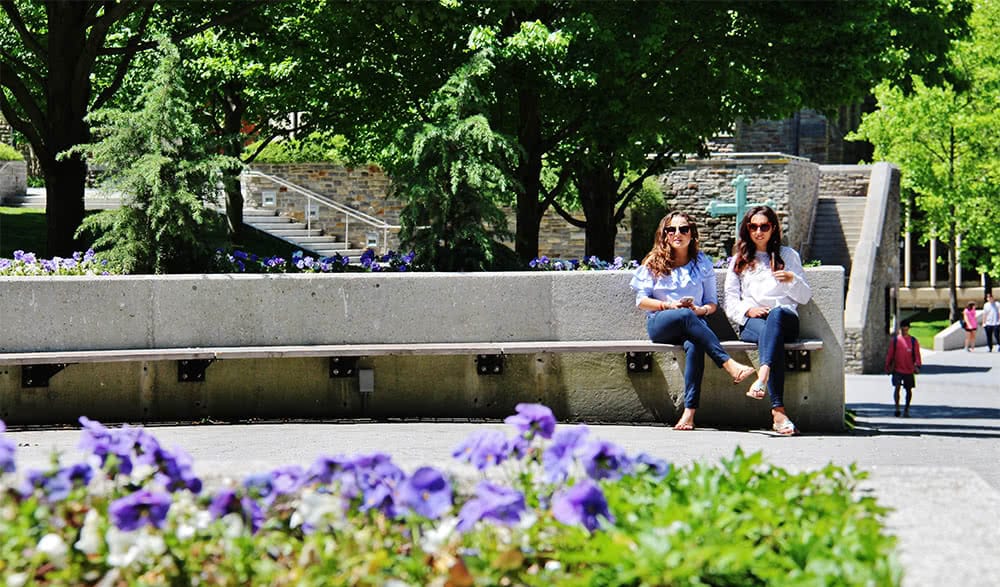 Two students sit on a long bench with flowers in the foreground