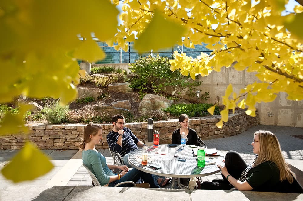 Students sitting and eating around a table outdoors, with yellow fall foliage hanging overhead
