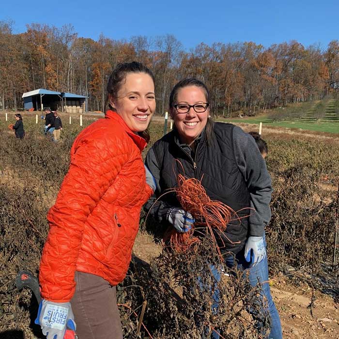 Loyola employees helping out on a farm