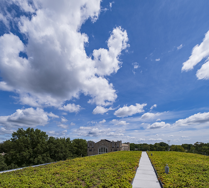 A living roof, with a sidewalk down the middle, with cloudy blue skies in the background
