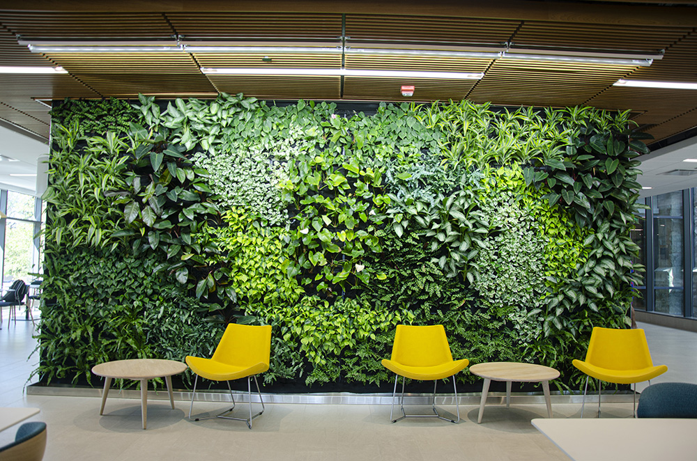 A living green wall inside the Ferndez Center