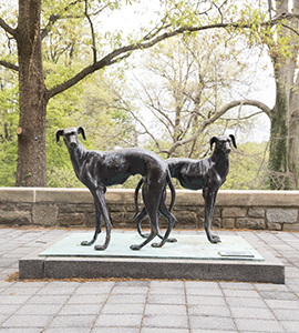 Greyhound Statue FAC