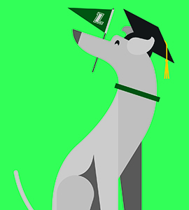 Greyhound in graduation cap