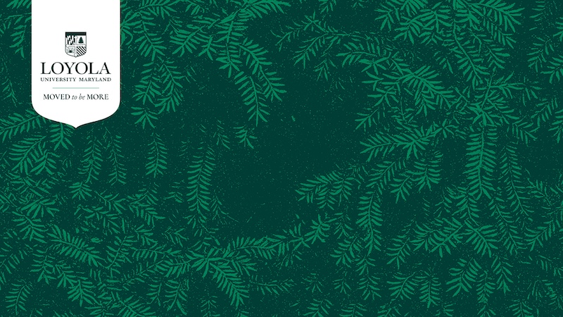 Detail of evergreen leaves with the Loyola logo and Moved To Be More wordmark.