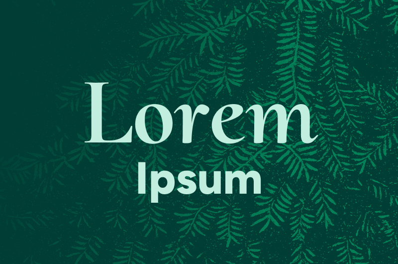 Graphic showing two examples of Cormorant and Figtree fonts
