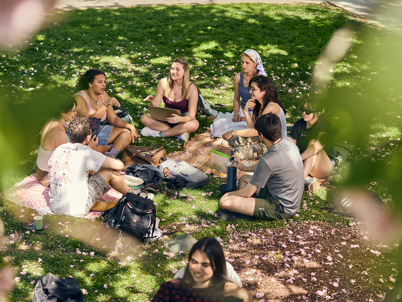 a big group of students sitting on the quad