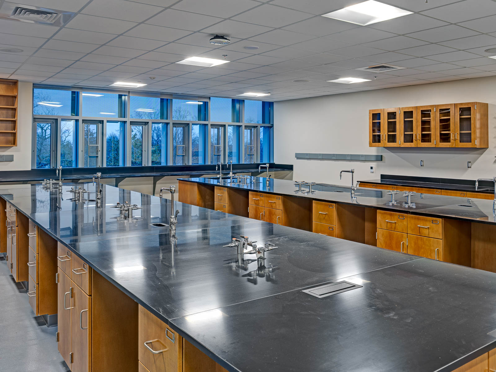 This renovated Biochemistry lab is a shared teaching space for biology and chemistry students. The new lab benches have lab gases and cup spaces for experimentation. The room also has a built-in fume hood, incubators and a centrifuge. The room also has brand new state-of-the-art audio-visual equipment.