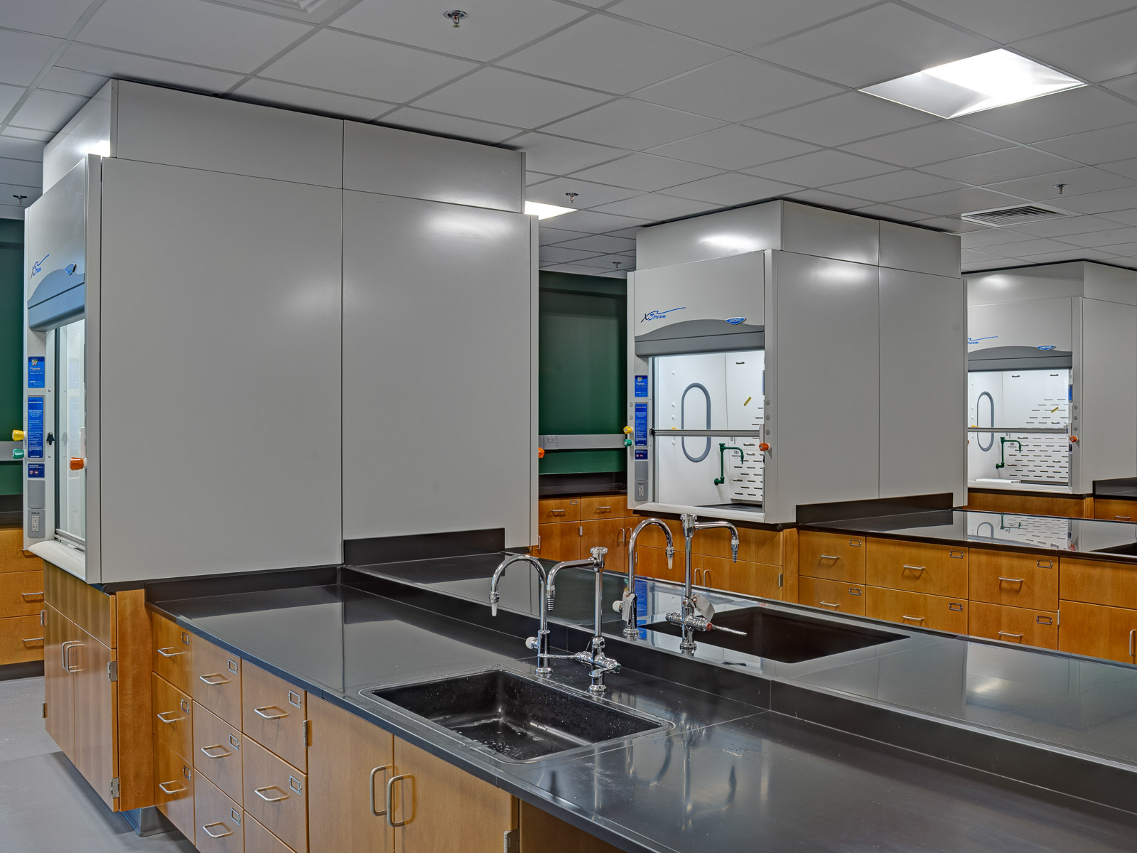 The renovated Donnelly Science Center has two new general chemistry labs, each with 12 student fume hoods, a demonstration hood and benchtop for experimentation.&nbsp;A shared prep room sits between the two new labs allowing faculty and staff to efficiently prep and setup labs and experiments.