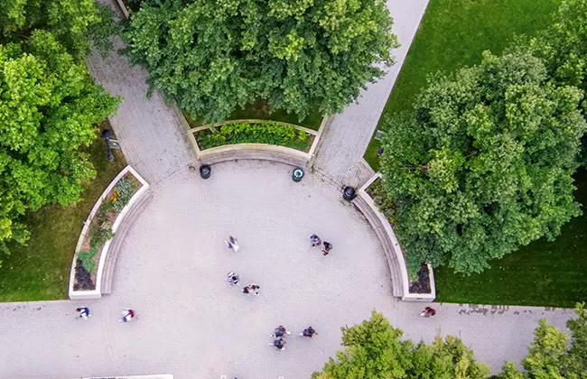 A birds-eye view of campus, showing trees and students walking on light grey brick pathways