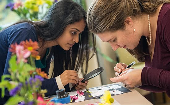 Two education grad students working on a project