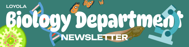 Department newsletter header