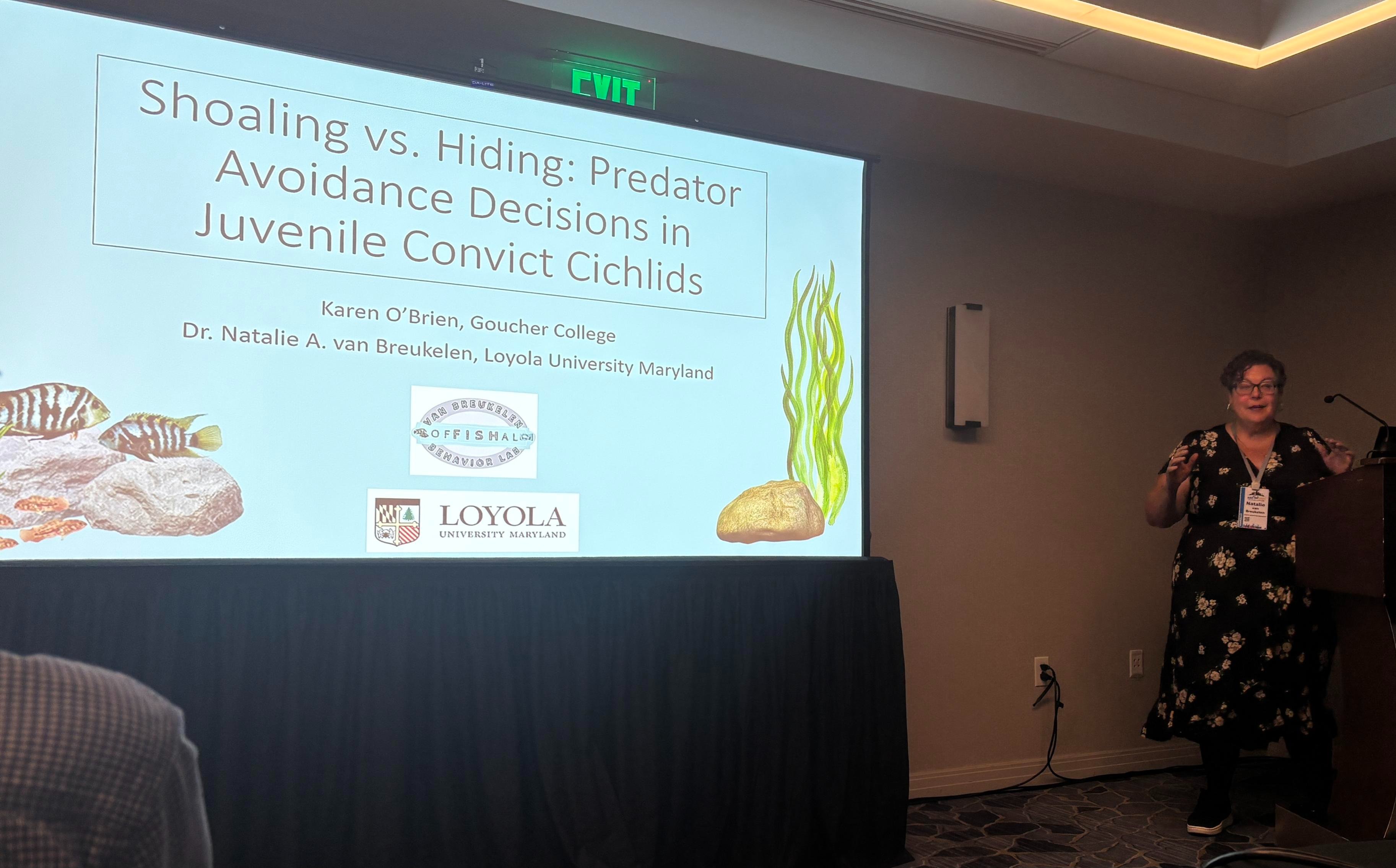 Dr van Breukelen presenting