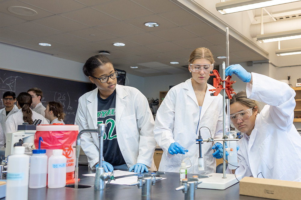 Students working in a lab