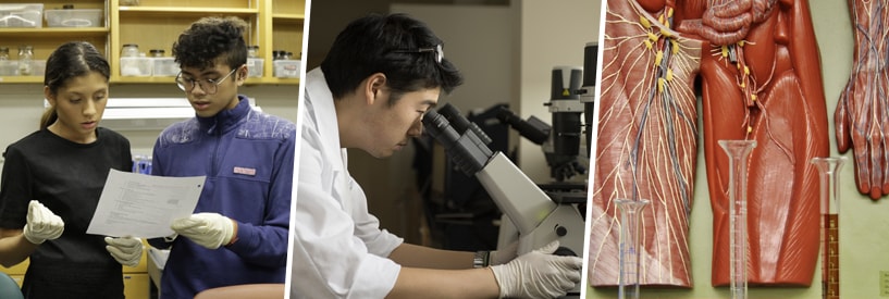 Students reading a page; student using a microscope; physiological model with test tubes