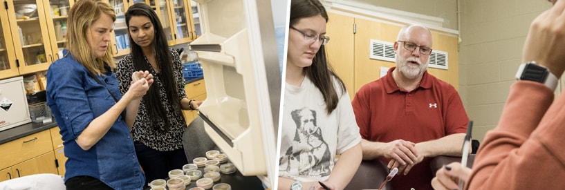 Instructors accompanying students through experiments and observations