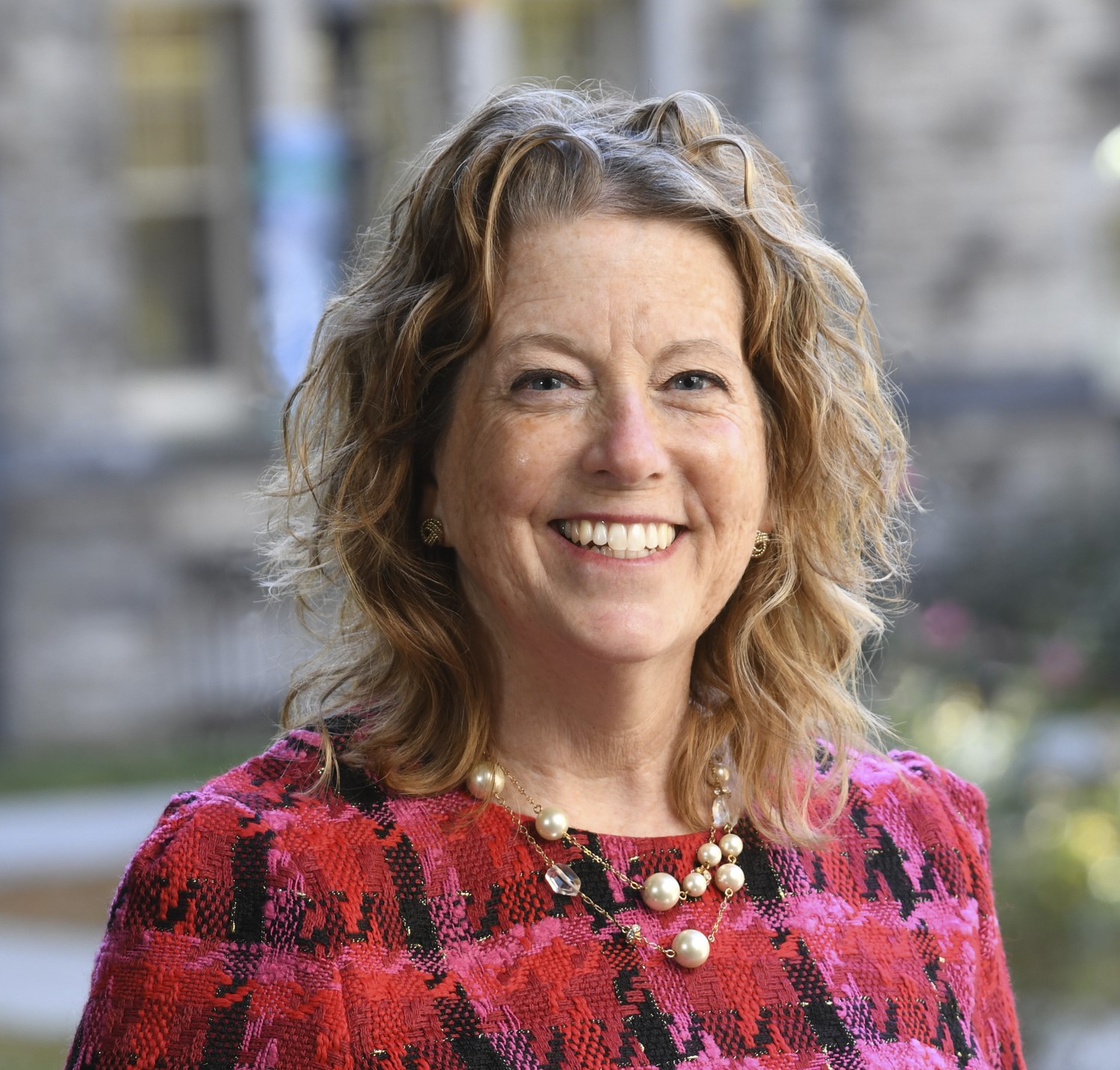 Kimberly Stevenson Parks, Director of Development for College of Arts and Sciences and Clinical Centers