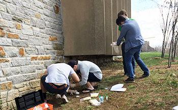 Students investigating and taking samples