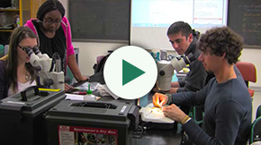 Students gathered around a lab table looking through telescopes