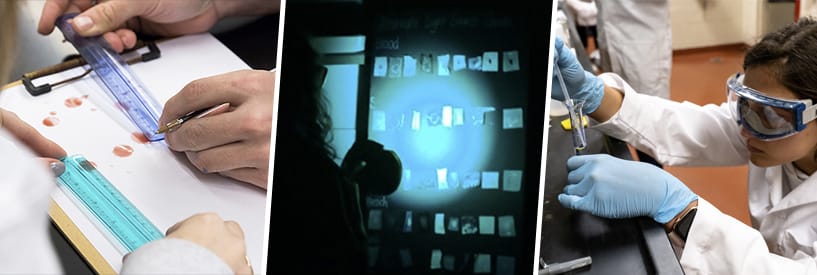 Fingerprint examination, Photograph examination, Lab equipment work