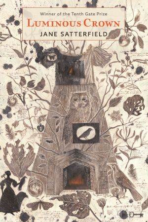 Flyer of Luminous Crown: An ecopoetry reading and discussion Lunch Talk