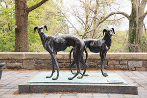 Two greyhound statues standing outside of the Fitness & Aquatic Center